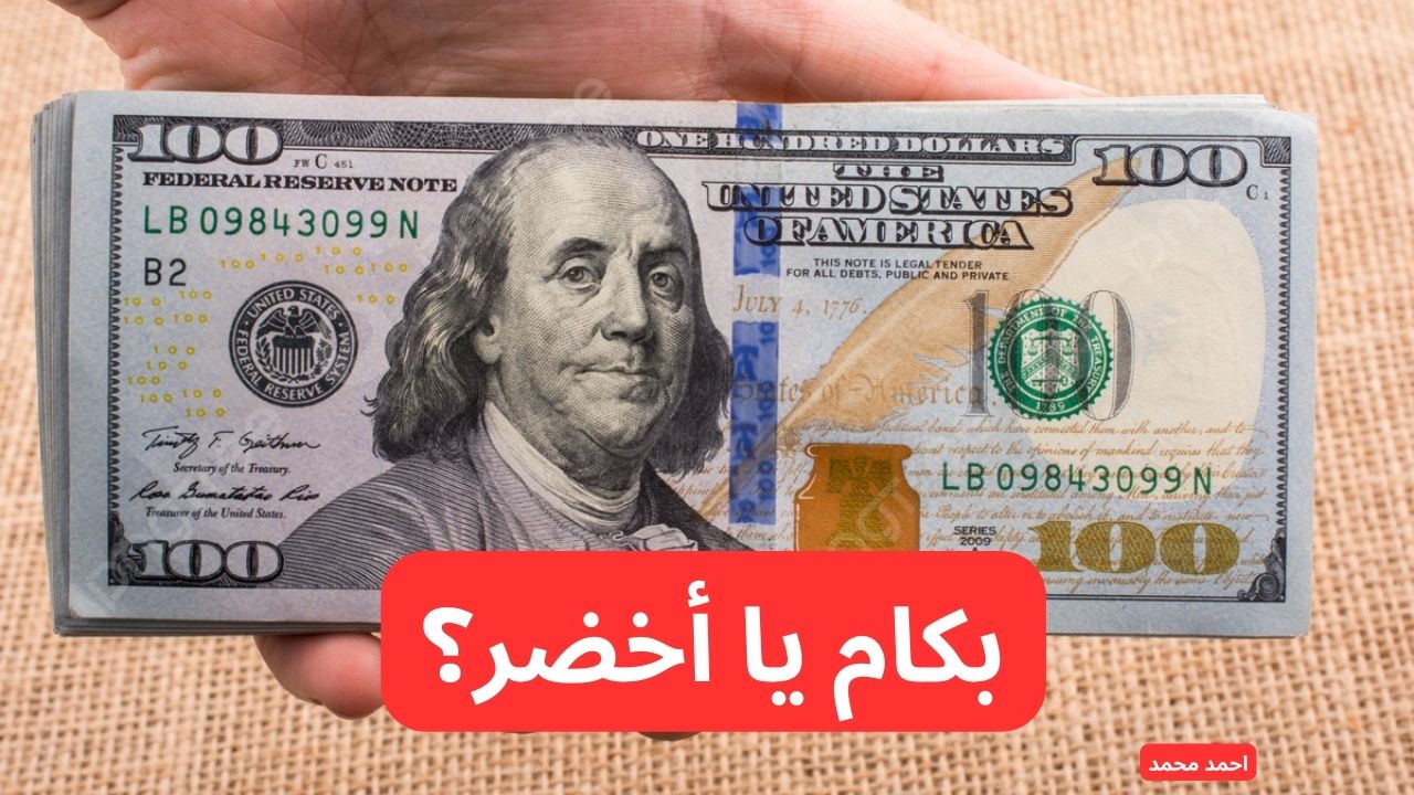 وصل كام الأخضر؟.. سعر الدولار مقابل الجنيه المصري اليوم الأربعاء 12-2-2025 بعد آخر ارتفاع!