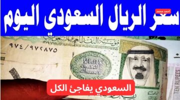 سعر الريال السعودي مقابل الجنية المصري اليوم الثلاثاء 18 2 2025