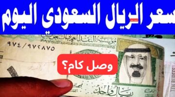 سعر الريال السعودي مقابل الجنيه المصري اليوم الأحد 16 2 2025