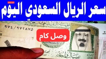 سعر الريال السعودي مقابل الجنيه المصري اليوم الأربعاء 5 2 2025 بعد الارتفاع الأخير