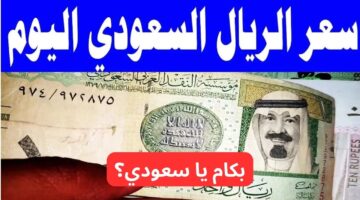 سعر الريال السعودي مقابل الجنيه المصري اليوم الإثنين 17 2 2025