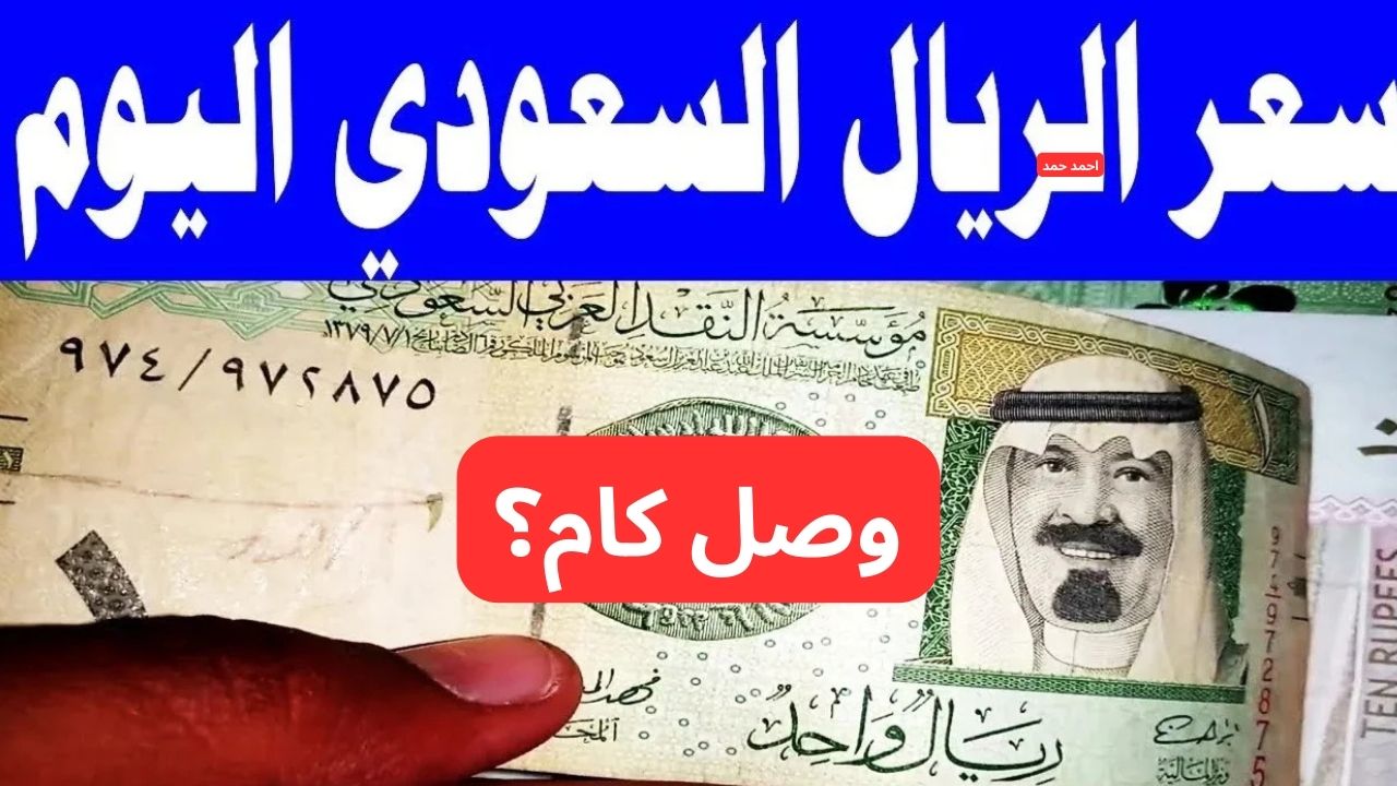وصل كام؟.. سعر الريال السعودي مقابل الجنيه المصري اليوم السبت 15-2-2025 2 وصل كام؟.. سعر الريال السعودي مقابل الجنيه المصري اليوم السبت 15-2-2025