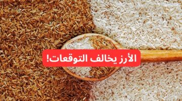 سعر طن الأرز الشعير اليوم الأحد 16 2 2025 والأبيض