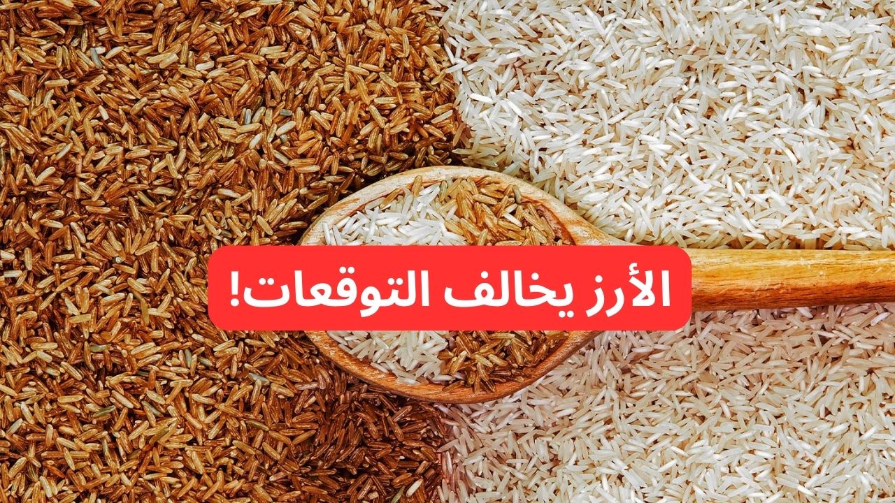 "الأرز خالف التوقعات".. سعر طن الأرز الشعير اليوم الأحد 16-2-2025 والأبيض يفاجئ الكل! 2 “الأرز خالف التوقعات”.. سعر طن الأرز الشعير اليوم الأحد 16-2-2025 والأبيض يفاجئ الكل!