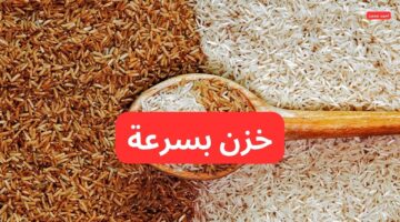 سعر طن الأرز الشعير اليوم الأحد 8 2 2025