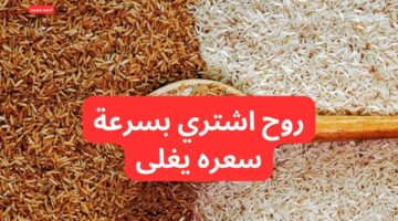 سعر طن الأرز الشعير اليوم الأربعاء 5 فبراير 2025 بعد آخر انخفاض