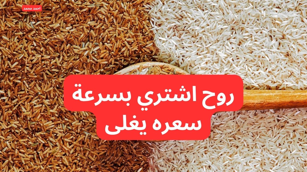 "خزن بسرعة لرمضان".. سعر طن الأرز الشعير اليوم الأربعاء 5 فبراير 2025 بعد آخر انخفاض! 2 “خزن بسرعة لرمضان”.. سعر طن الأرز الشعير اليوم الأربعاء 5 فبراير 2025 بعد آخر انخفاض!