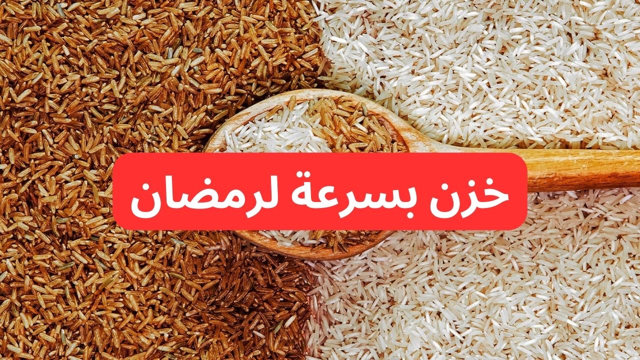 شوف وصل سعره كام.. سعر طن الأرز الشعير اليوم الاثنين 17-2-2025 والأبيض مع اقتراب رمضان 2 شوف وصل سعره كام.. سعر طن الأرز الشعير اليوم الاثنين 17-2-2025 والأبيض مع اقتراب رمضان