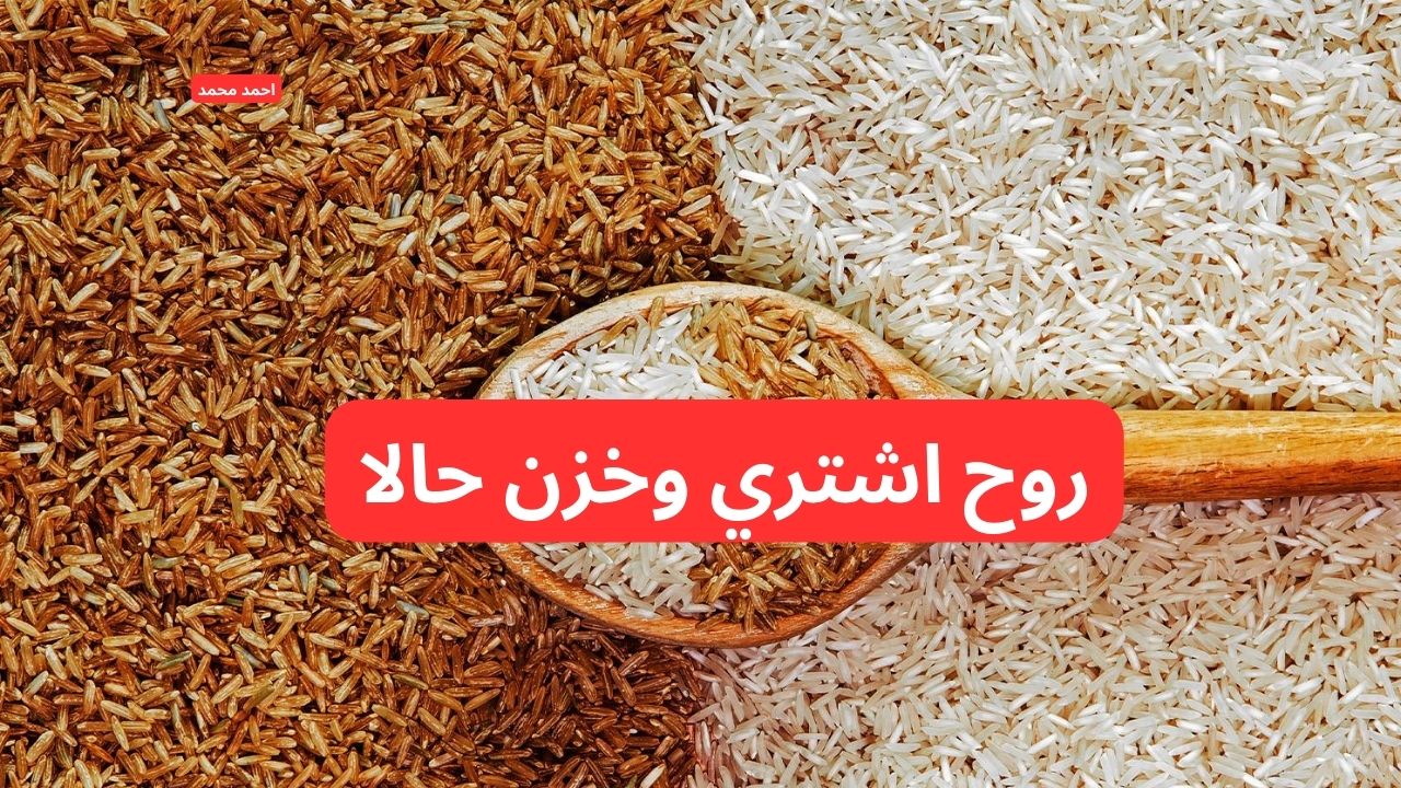 "الأرز يخالف التوقعات".. سعر طن الأرز الشعير اليوم الاثنين والأبيض 3-2-2025 تفاجي الكل! 2 “الأرز يخالف التوقعات”.. سعر طن الأرز الشعير اليوم الاثنين والأبيض 3-2-2025 تفاجي الكل!