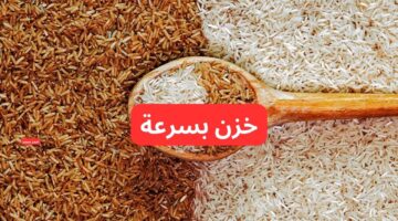 سعر طن الأرز الشعير اليوم الثلاثاء فبراير 2025 والأبيض