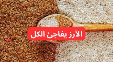 سعر طن الأرز الشعير اليوم الخميس 20 2 2025 والأبيض