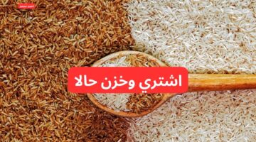 سعر طن الأرز الشعير اليوم الخميس والأبيض 5 2 2025 العريضة والرفيعة
