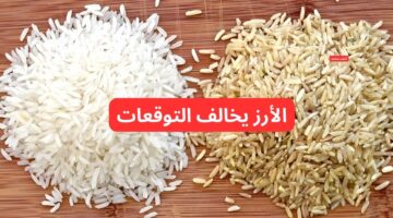 سعر طن الأرز الشعير اليوم السبت 23 2 2025 والأبيض