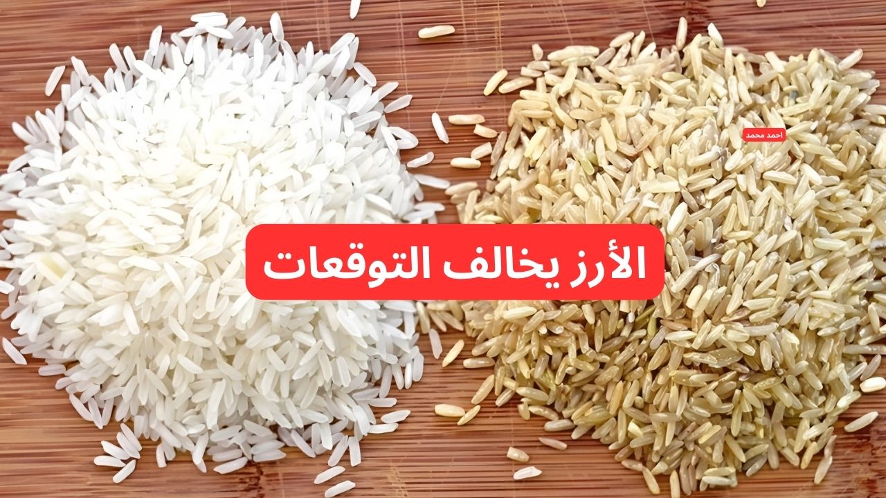 "الأرز يخالف التوقعات".. سعر طن الأرز الشعير اليوم الأحد 23-2-2025 والأبيض! 2 “الأرز يخالف التوقعات”.. سعر طن الأرز الشعير اليوم الأحد 23-2-2025 والأبيض!