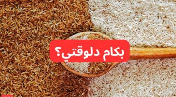 سعر طن الأرز الشعير اليوم السبت بعد اخر انخفاض