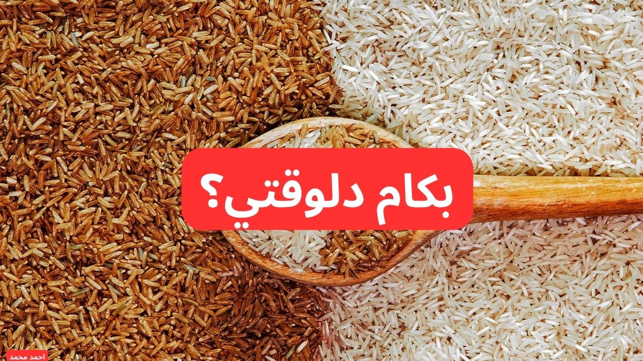 انخفاض بين 900-1100 جنيه للطن.. سعر طن الأرز الشعير اليوم السبت بعد اخر انخفاض 2 انخفاض بين 900-1100 جنيه للطن.. سعر طن الأرز الشعير اليوم السبت بعد اخر انخفاض