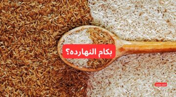 سعر طن الأرز الشعير اليوم والأبيض الأربعاء 26 2 2025 في التعاملات 1