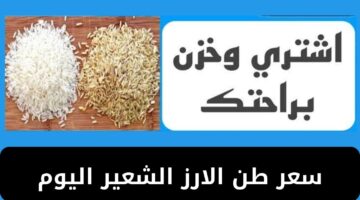 سعر طن الارز الشعير اليوم