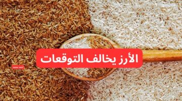سعر طن الارز الشعير اليوم الجمعة 28 فبراير 2025 والأبيض