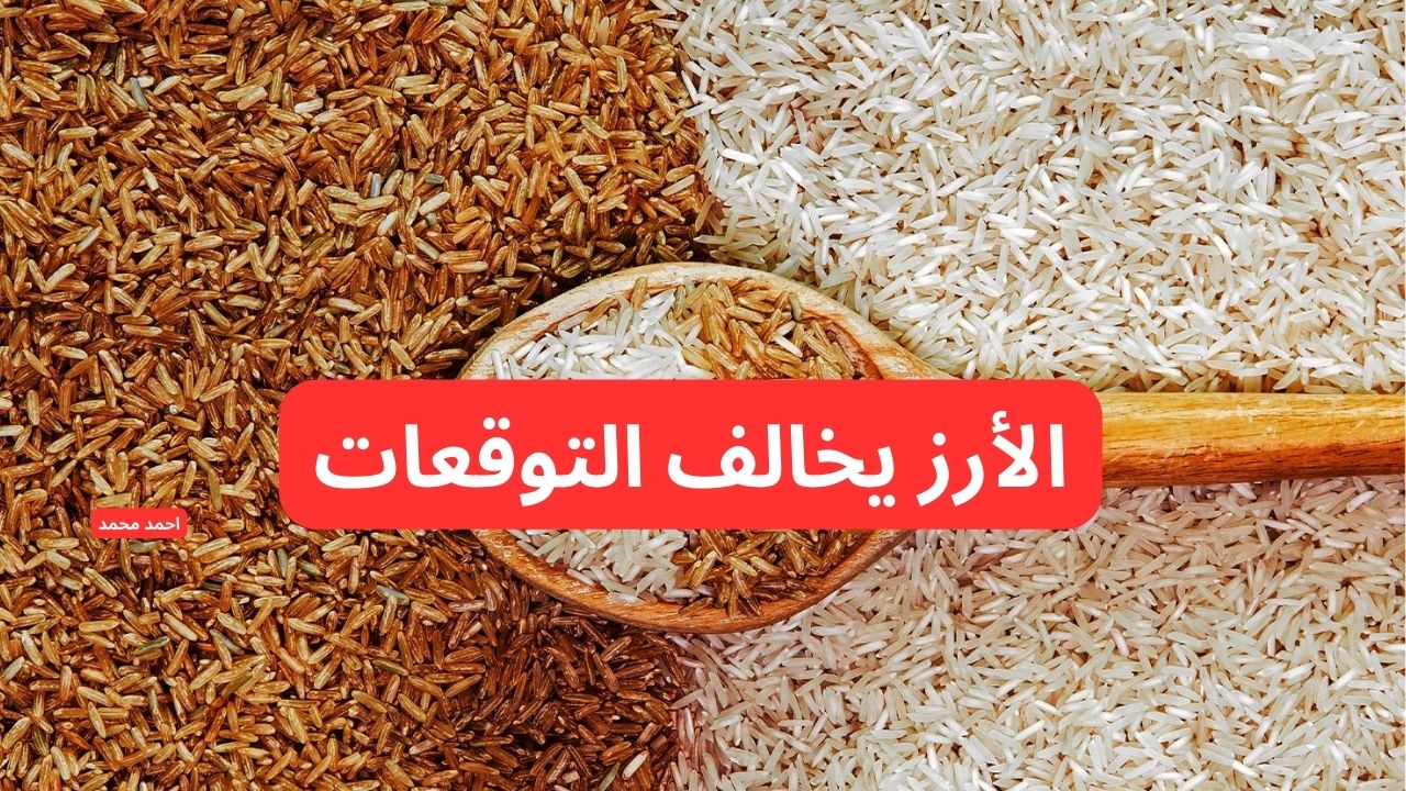 "الأرز يخالف التوقعات مع بداية رمضان".. سعر طن الارز الشعير اليوم الجمعة 28 فبراير 2025 والأبيض! 2 “الأرز يخالف التوقعات مع بداية رمضان”.. سعر طن الارز الشعير اليوم الجمعة 28 فبراير 2025 والأبيض!