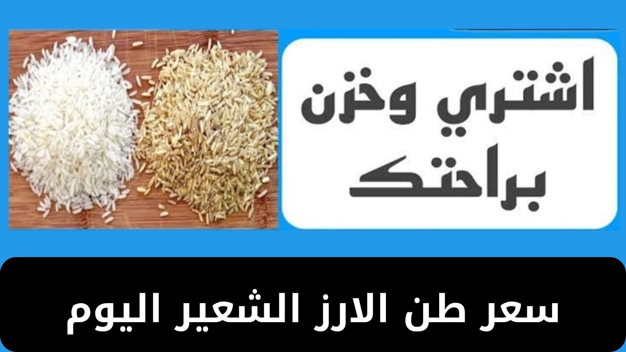 قبل رمضان اعرف سعر طن الارز الشعير اليوم الثلاثاء 4 فبراير 2025 ومختلف السلع في السوق المصري