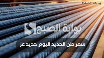 سعر طن الحديد اليوم حديد عز