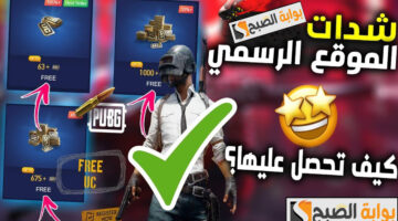 شحن شدات ببجي 1