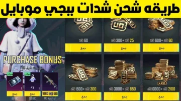 شحن شدات ببجي 3
