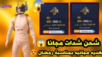 شدات ببجي موبايل 1