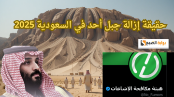شروط مبادرة سند محمد بن سلمان 20251446 15