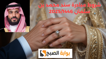 شروط مبادرة سند محمد بن سلمان 20251446