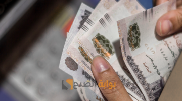 صرف منحة العمالة الغير منتظمة ومكافأة تشجيعية