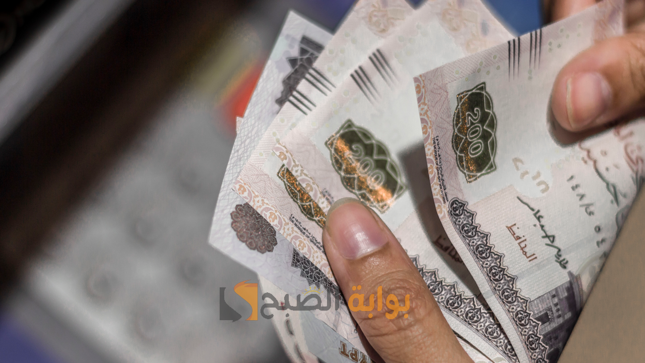 صرف المكافأة التشجيعية لهذه الفئة.. وهذه شروط منحة العمالة الغير منتظمة