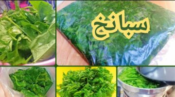 طريقة تخزين السبانخ