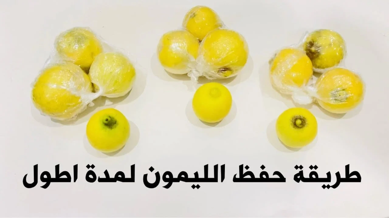 تاجر قالي عليها.. تخزين 20 كيلو ليمون من السنه للسنة بنفس اللون والطعم هيفضل طازه معاكى السنه كلها 2 تاجر قالي عليها.. تخزين 20 كيلو ليمون من السنه للسنة بنفس اللون والطعم هيفضل طازه معاكى السنه كلها