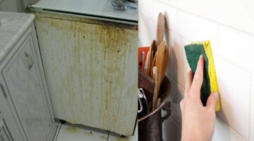 طريقة تنظيف الدهون القديمة