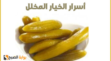 طريقة عمل خيار مخلل