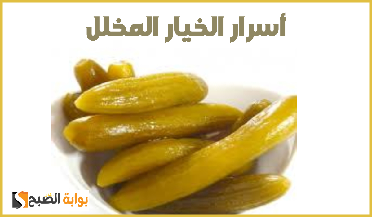 مقرمش ولذيذ.. طريقة عمل خيار مخلل مثل المطاعم بخطوات سهلة 5 مقرمش ولذيذ.. طريقة عمل خيار مخلل مثل المطاعم بخطوات سهلة