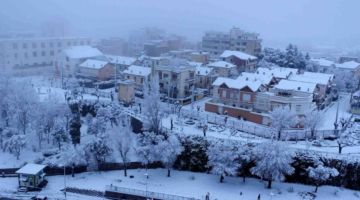 طقس الجزائر اليوم