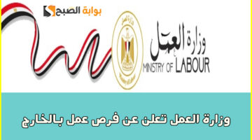 فرص عمل بالخارج