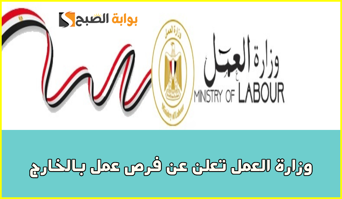 وزارة العمل تعلن عن وظائف مقاولات بالخارج براتب يبدأ من 28 ألف.. التخصصات ورابط التقديم 7 وزارة العمل تعلن عن وظائف مقاولات بالخارج براتب يبدأ من 28 ألف.. التخصصات ورابط التقديم