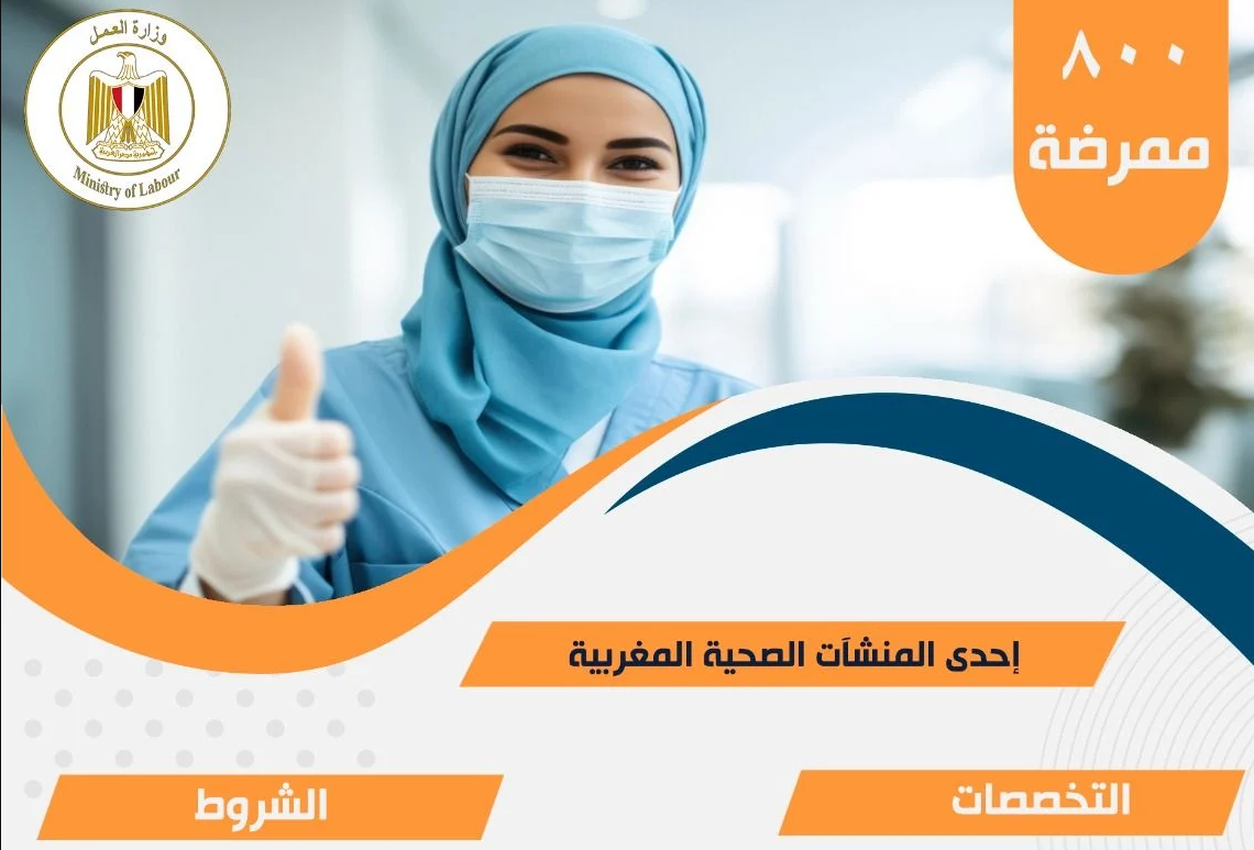 1200 دولار في الشهر.. الحكومة تعلن عن فرص عمل للمصريين في المغرب | الشروط وكيفية التقديم