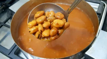 فول مطع
