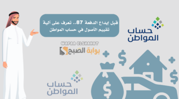قبل إيداع الدفعة 87. تعرف على آلية تقييم الأصول في حساب المواطن