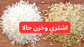 كم سعر طن الأرز الشعير اليوم السبت 15 فبراير 2025 والأبيض؟