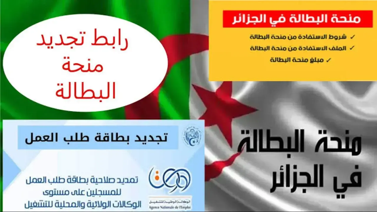 خطوة بخطوة.. تجديد منحة البطالة 2025 في الجزائر عبر الرابط الرسمي للوكالة الوطنية للتشغيل وشروط التسجيل 