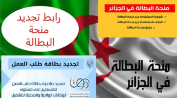 كيف أجدد منحة البطالة من الهاتف 2025 بالجزائر؟. الوكالة الوطنية للتشغيل توضح