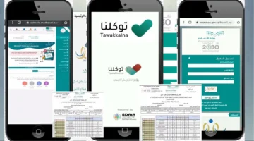كيف اشوف نتائج الطلاب من توكلنا؟