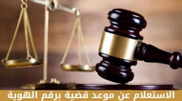 كيفية الاستعلام عن موعد قضية إلكترونيا برقم الهوية في السعودية