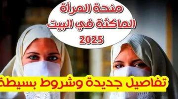 كيفية التسجيل في منحة المرأة الماكثة في البيت 2025 عبر anem.dz وأهم الشروط. الوكالة الوطنية للتشغيل